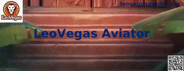 Interfaz representativa del juego LeoVegas Aviator